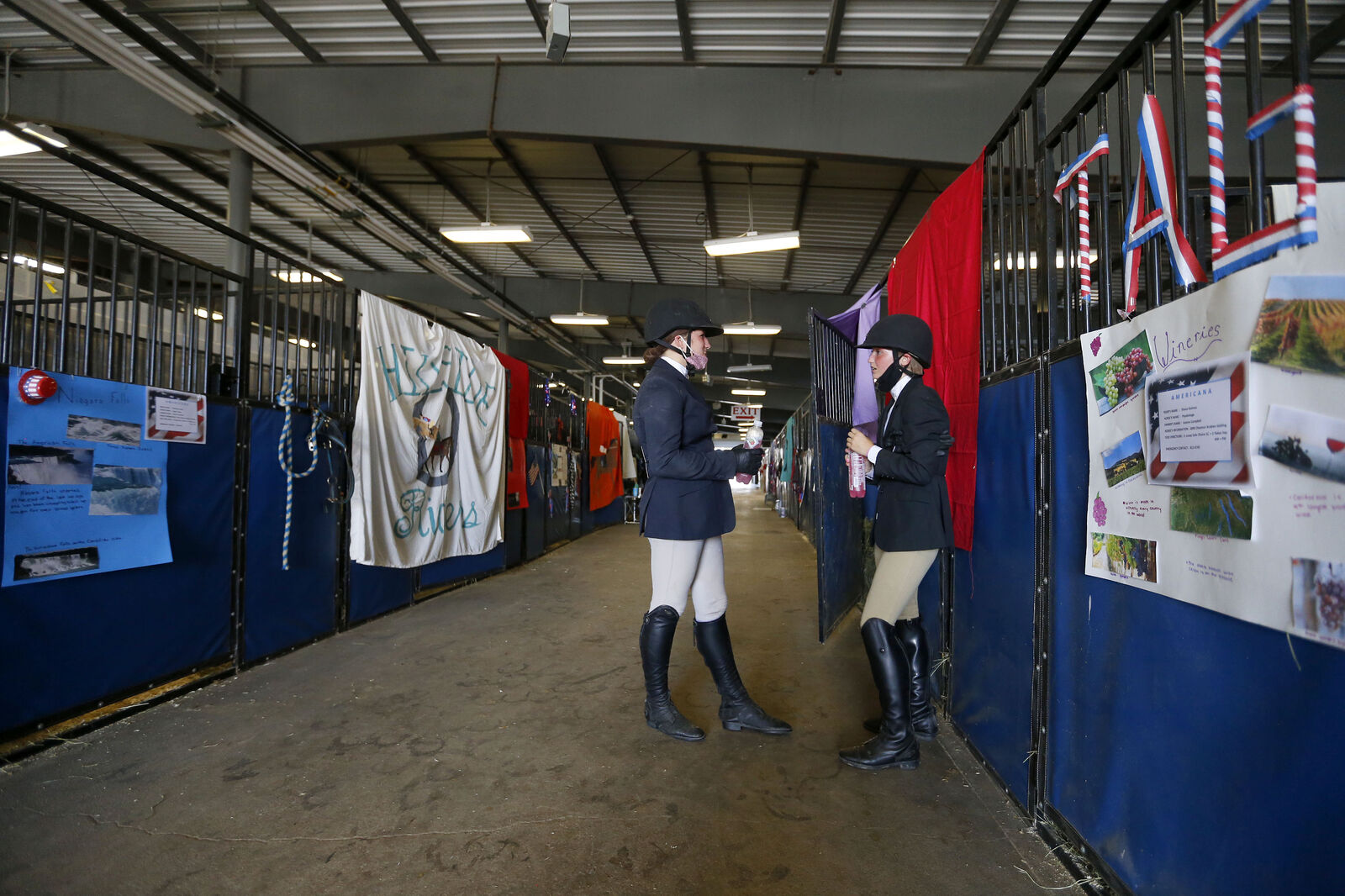 Hanging out in the stables
